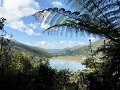 E (57) Kaituna valley